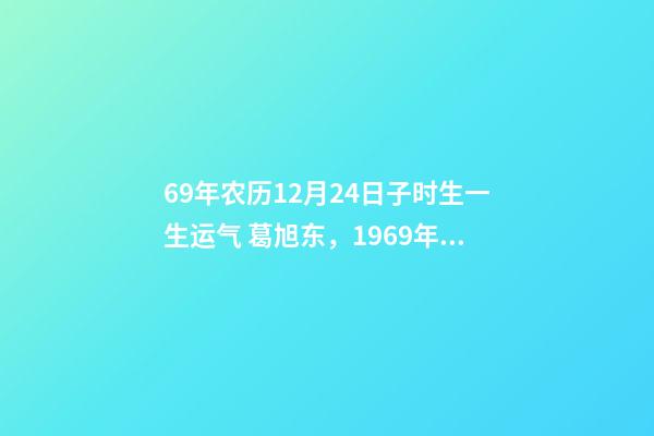 69年农历12月24日子时生一生运气 葛旭东，1969年12月24日子时出生帮忙算一下运势-第1张-观点-玄机派